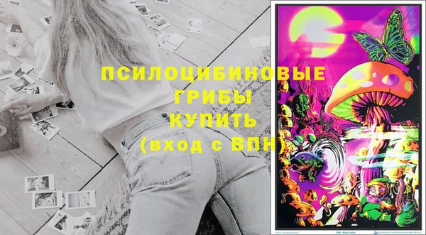 бошки Кулебаки