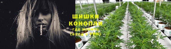 каннабис Куйбышев